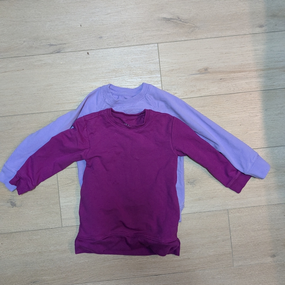 Two purple primary kids sweatshirts in size kid/ toddler 4-5